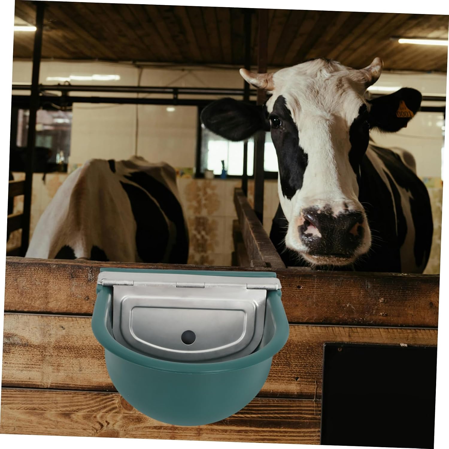 Happyyami Automatic Cow Water Bowl Livestock Waterer Sturdy Plastic Metal Cover Multianimal Compatible Effortless Maintenance