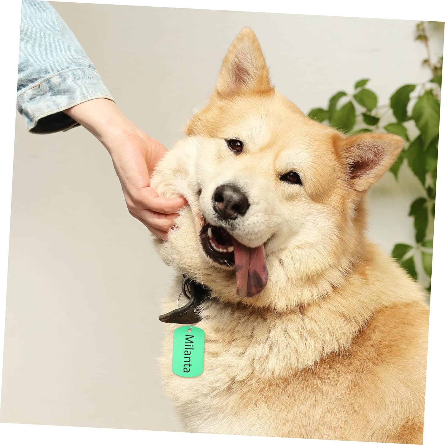 VANZACK 96pcs Blank Pet Id Tags Alloy Dog Tags for Pet Name Identification and Lightweight Glossy Finish for Dogs and Cats