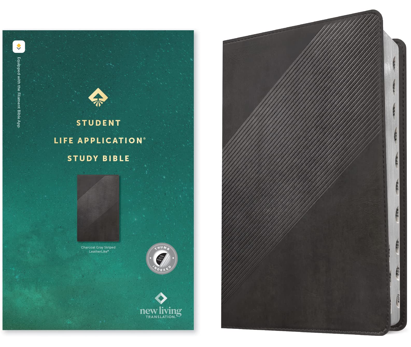 Student Life Application Study Bible　NLT Buy NLT Teen Life Application Study Bible, Softcover | Best