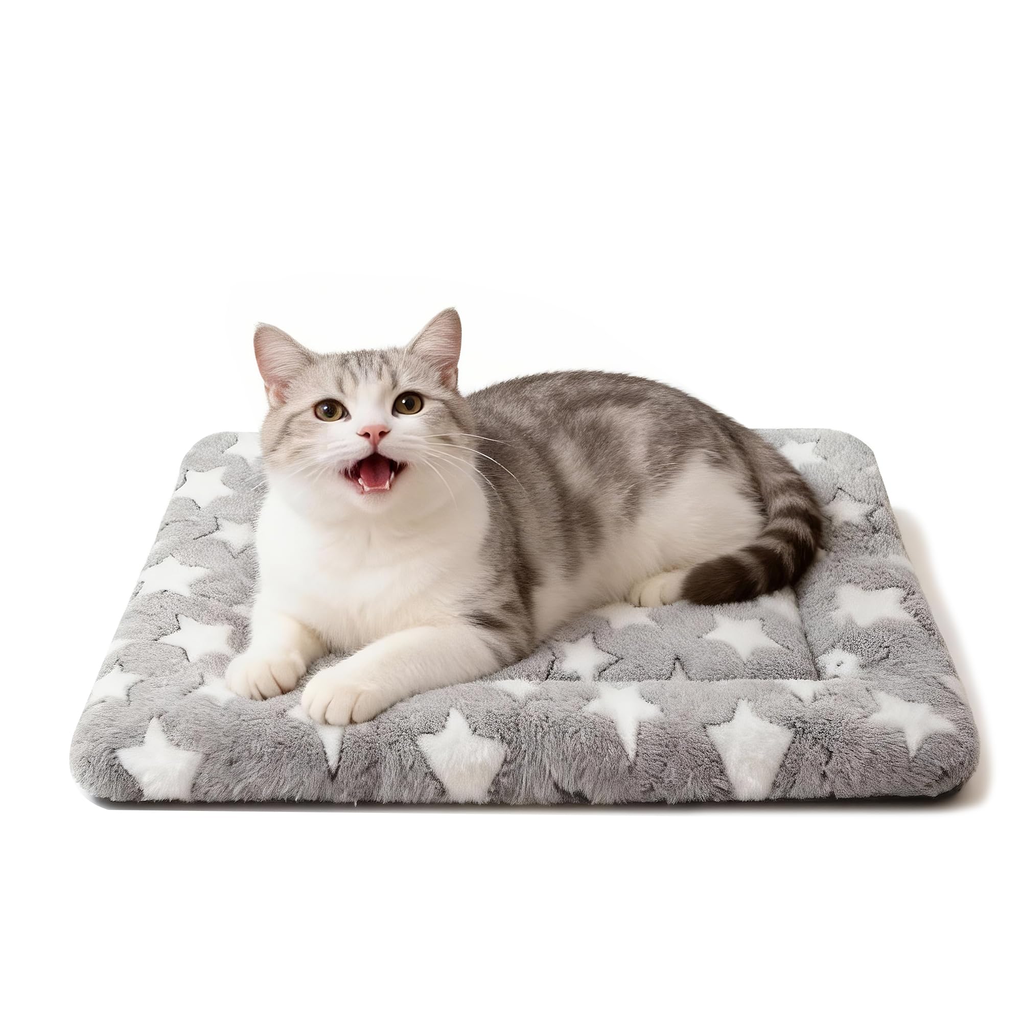 Fogkiss Reversible Crate Pad