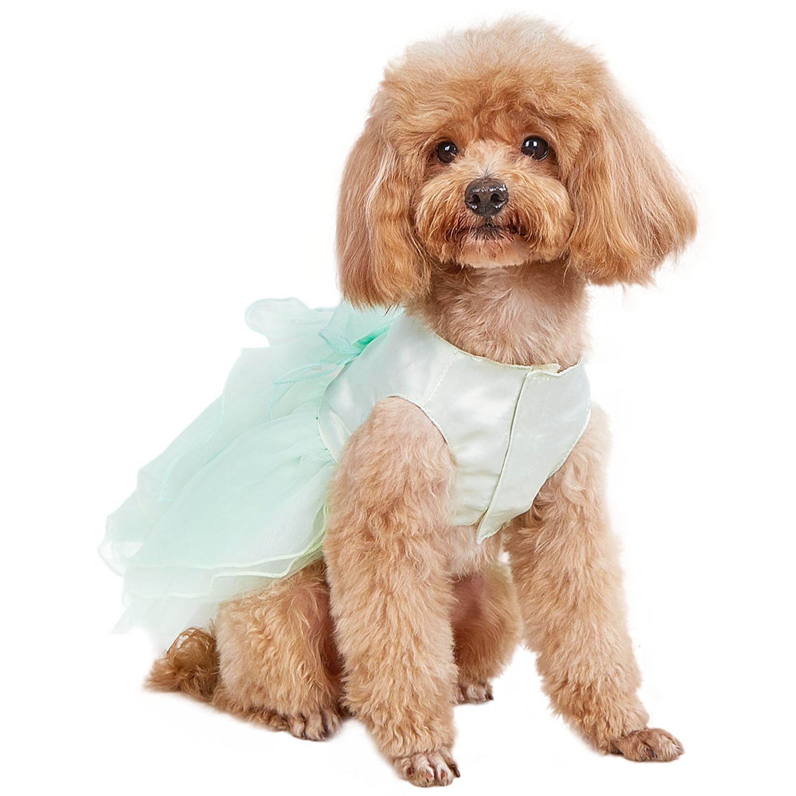 UOSIA Pet Dog Dress Girl Green Puppy Chihuahua Yorkie Tutu Skirt Multi-Layer Lace Cat Bridesmaid Prom Apparel for Party Birthday Holiday XS