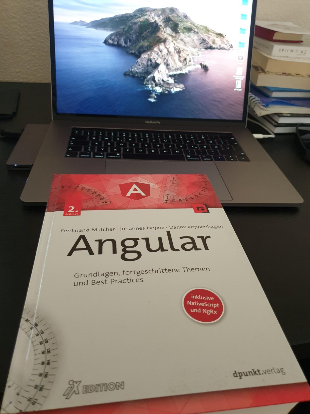Angular: Grundlagen, fortgeschrittene Themen und Best Practices ...