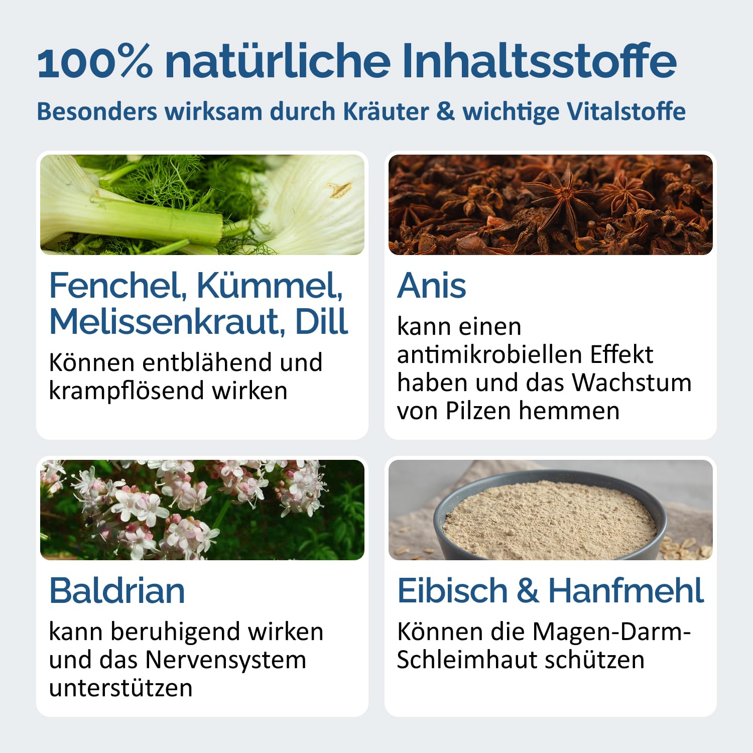 The Horse Vitality Company Magenfein 1 kg Pulver | Ergänzungsfuttermittel für Pferde mit Kräutern & Vitalstoffen | Verdauuung, Koliken, Kotwasser | 100% natürlich | Made in Germany