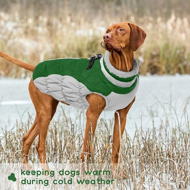 Foto 6 de 7 de Abrigo para Perros Chaqueta Impermeable