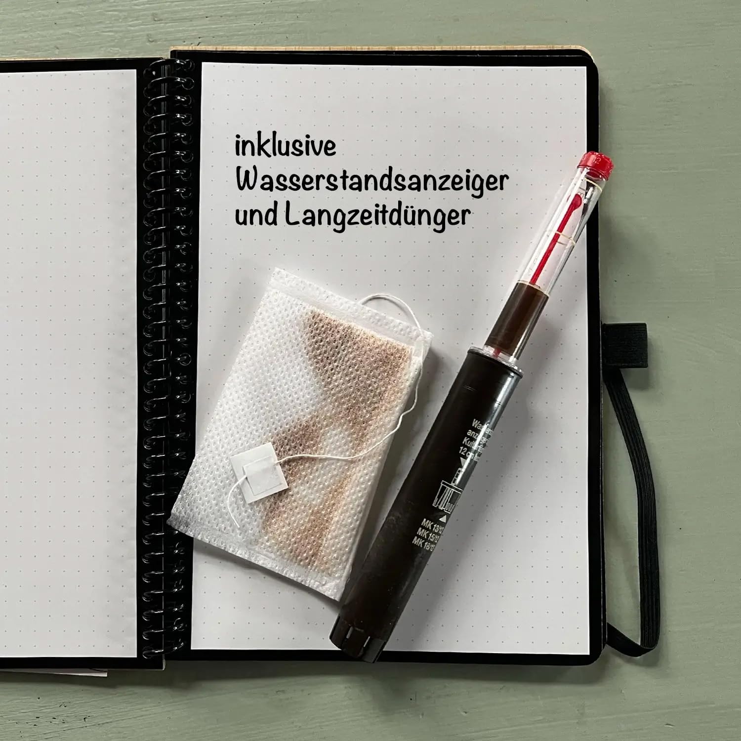 Hydrokultur Büropflanzen 3er Set Drachenbaum Mix in Keramiktöpfen Anthrazit - Topf ⌀ 16 cm - Pflanze ca. 30 cm - pflegeleichte Zimmerpflanzen inkl. Blähton, Wasserstandsanzeiger & Dünger