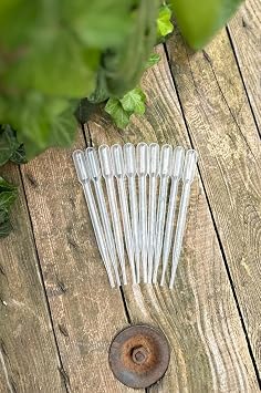 Rufus Concept Pastor Straw (Plate) 3 ml (50 Pieces)