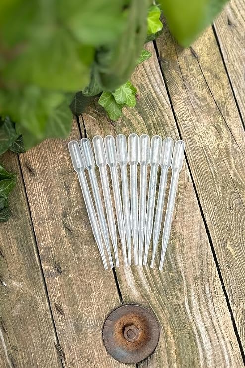 Rufus Concept Pastor Straw (Plate) 3 ml (50 Pieces)