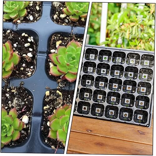 Miniatura 2 de Yardwe Bandejas de germinación de 10 piezas para plantas de jardín de interior, kit de cultivo de plantas