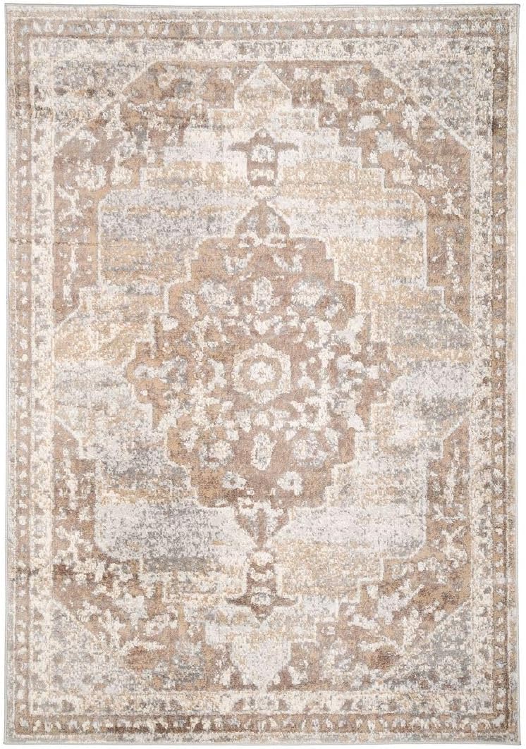 Antique Warm Neutral Greige Living Room Area Rug Distressed Oriental ...