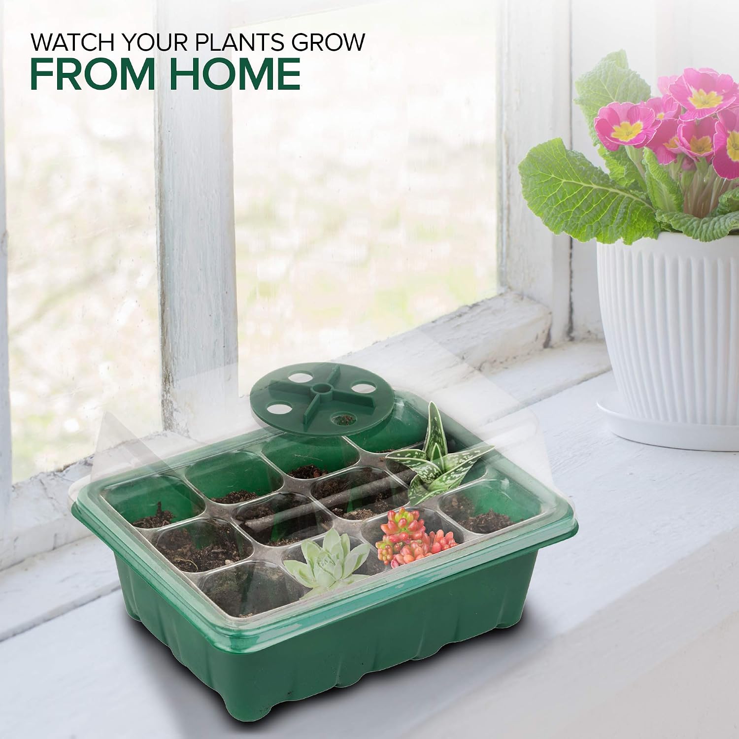 Seed Starter Kit (10 Pack) 12 Cell (120 Total) Seedling Plant Germination Tray for Gardening, Set with: Garden Dome Lids, Base Seed Trays for Soil, Planting Hand Tools, Dibber, Widger, & Plant Tags
