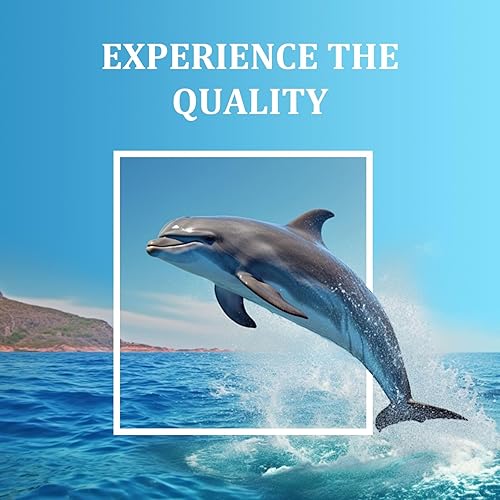 Miniatura 5 de HLPRINT Cartucho de tinta remanufacturado T215 de repuesto para impresoras Workforce WF-100 EC-C110 WF-110 Tinta de pigmento (1 negro 1 color)