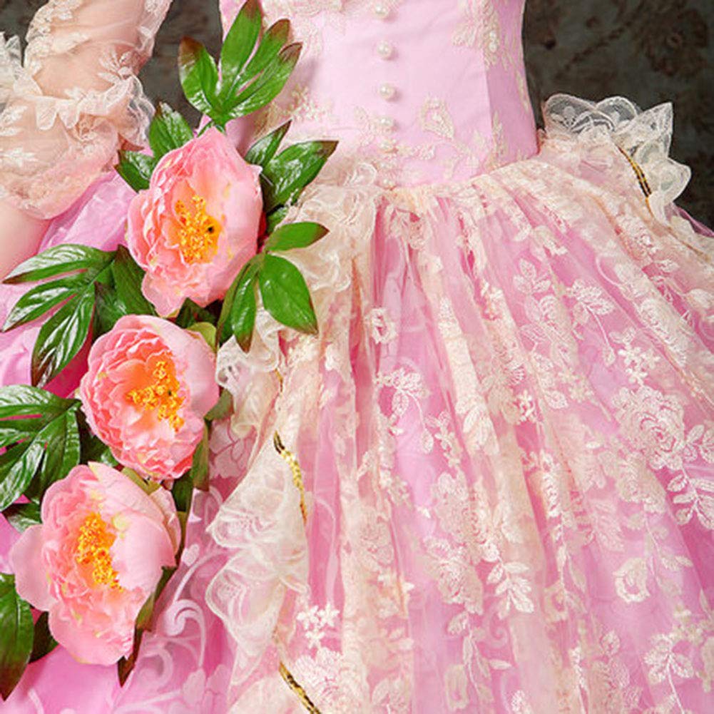 Abito da Donna Vittoriano Rococò Barocco Maria Antonietta Abito da Ballo Maxi Abiti 18'S Secolo Regina Medievale Victoria Rinascimento Periodo Storico Abito Ispirazione Costumi da Fanciulla