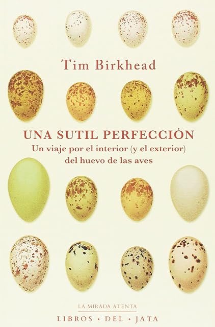 Portada de Una Sutil Perfeccion: Un Viaje por el Interior del Hue