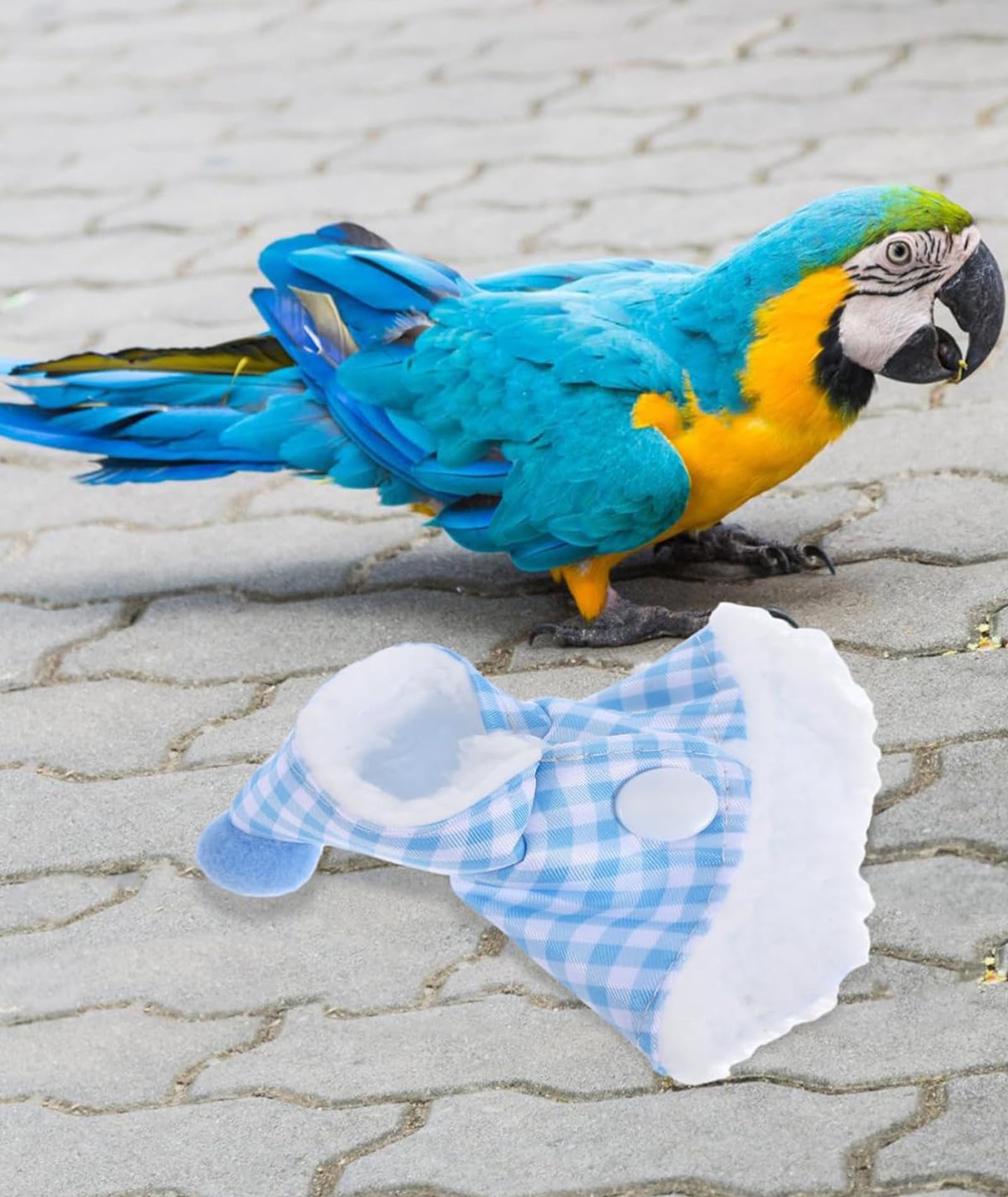 1 Piece Parrot Clothes, Comfortable Bird Costume for Special Occasions, Clothes for Parrot, Cute Blue Cape for Parrots 3
