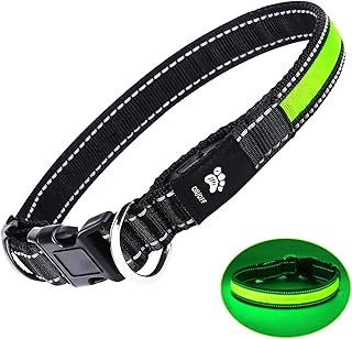 waterproof dog collars amazon