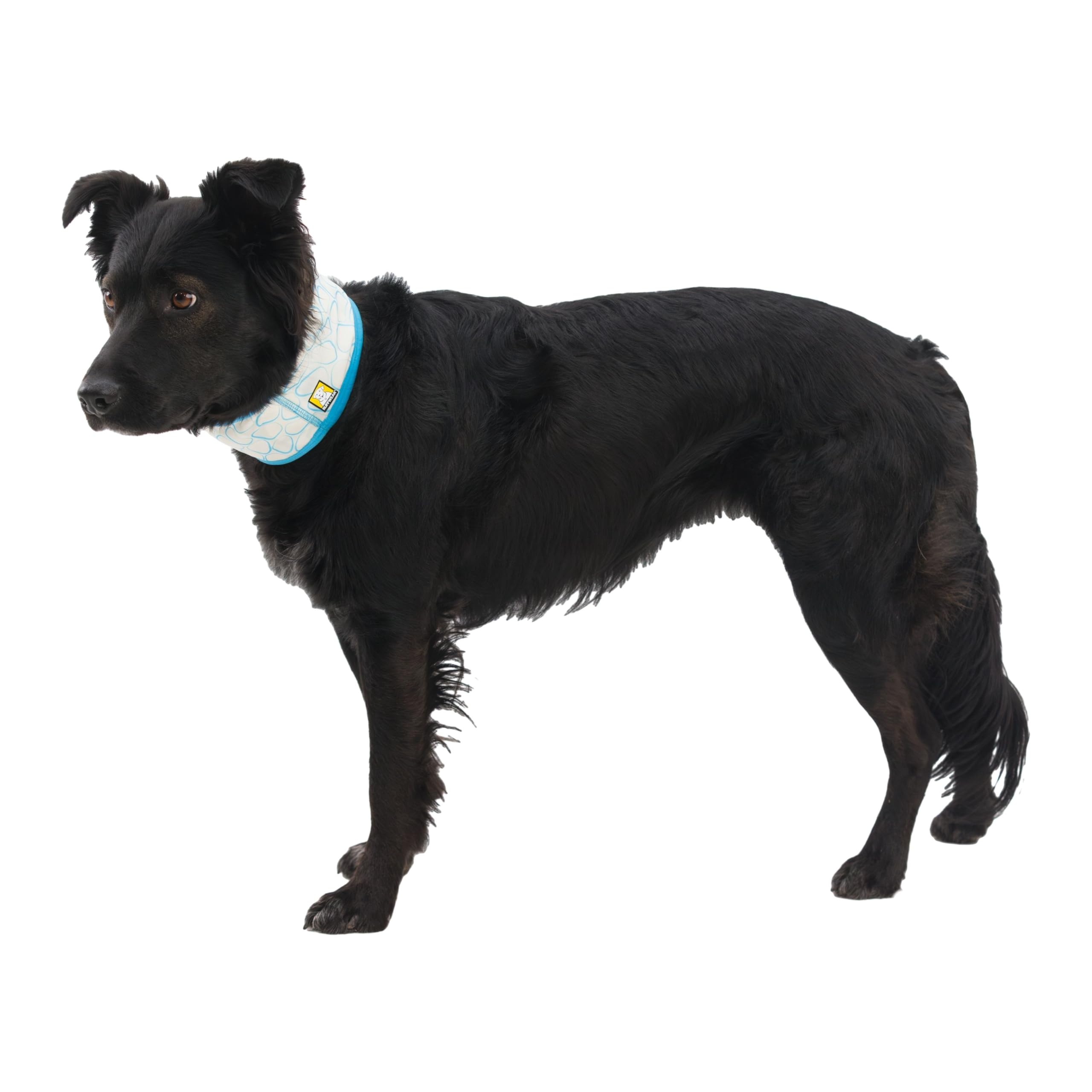 Amazon | RUFFWEAR(ラフウェア) スワンプクーラーネックゲーター