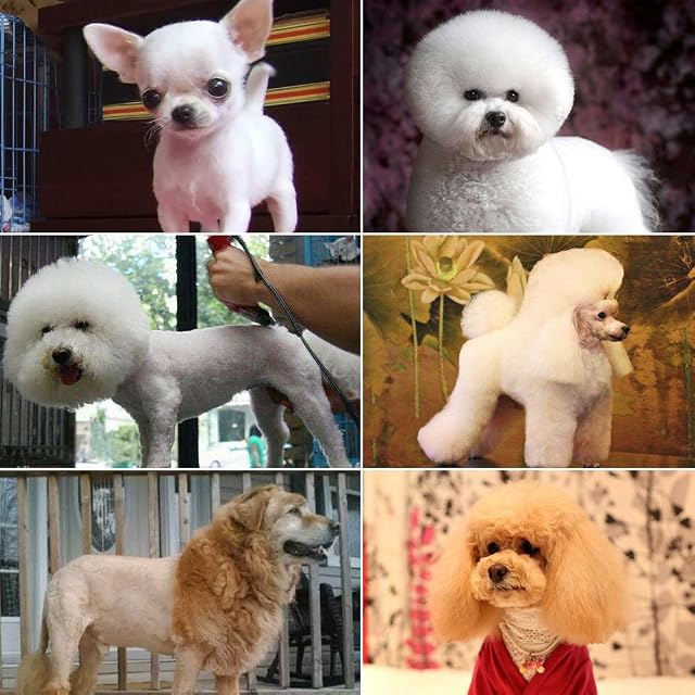 Foto 4 de 6 de SURKER Cortapelos Perro Cortadora de pelo profesional para perros maquina para cortar pelo de perros…