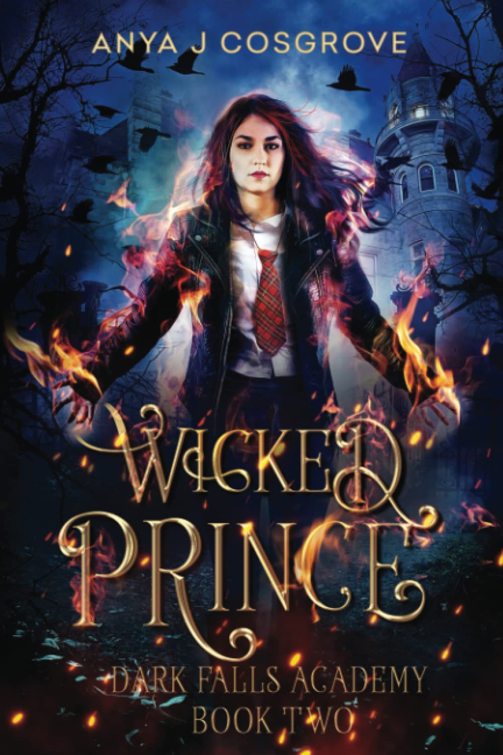 Dark Falls Academy: Wicked Prince: A Fantasy Romance: 2