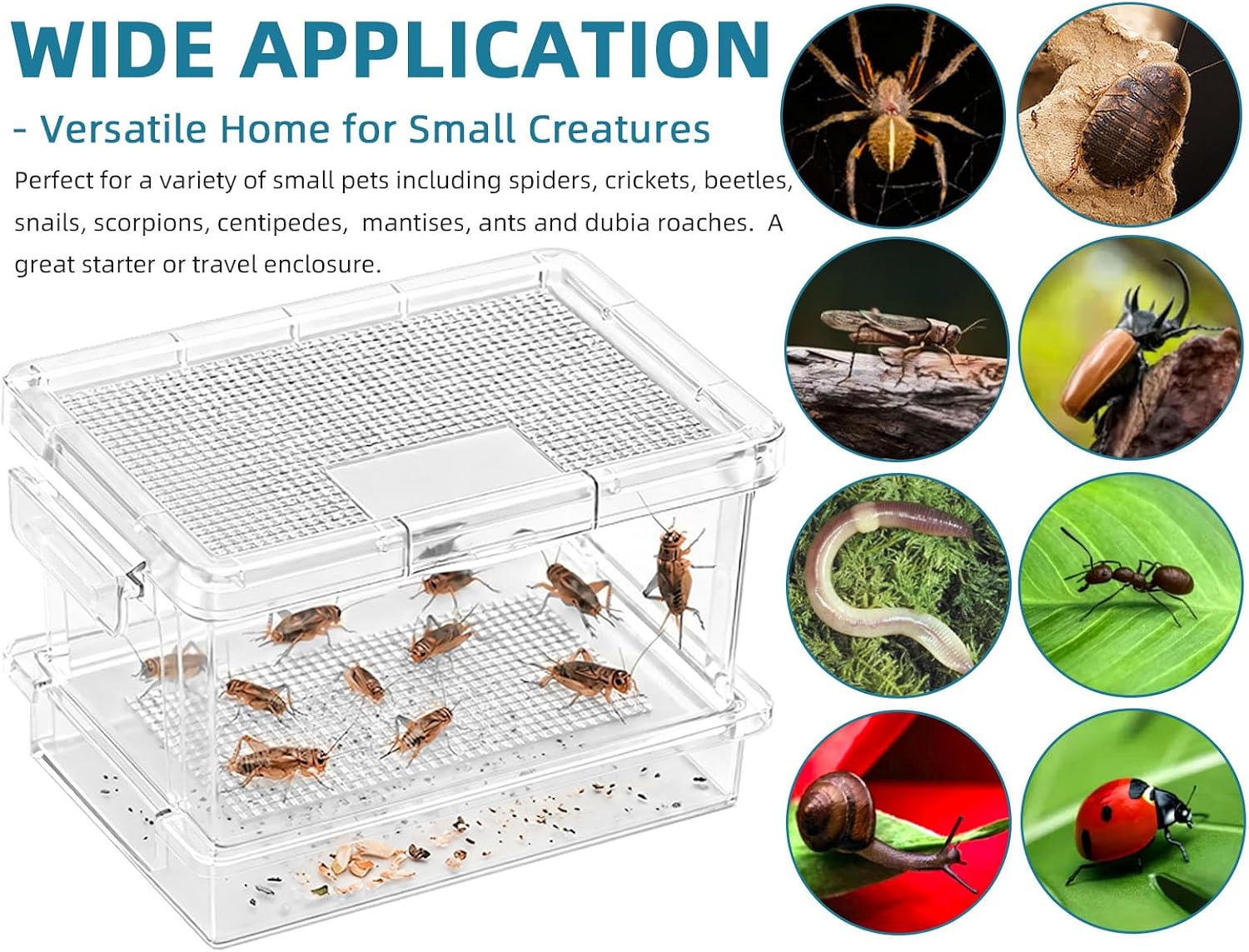 Cricket Keeper – Insect Breeding Box with Feeding Door for Crickets, Dubia Roaches, Mealworms, Transparent Ventilated Cage, Easy Clean Critter Keeper for Reptiles, Live Feeder Insect Container