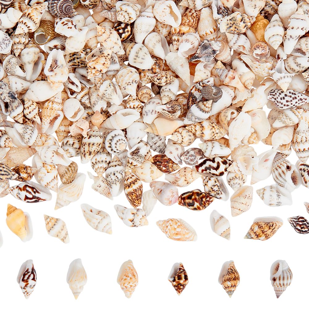 PH PandaHall 1400-1500pcs Tiny Sea Shells 7-12mm Tiny Crushed Shells Miniature Shell NO Hole Seashells Ocean Spiral Seashells for Resin Crafting Candle Home Party Wedding Fish Tank Vase Filler