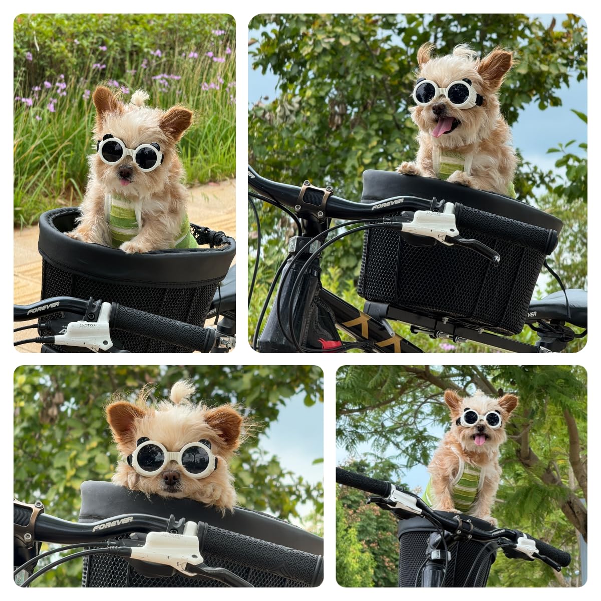 Billionchains Dog Goggles for Small Breed UV/Wind/Dust Protection Puppy Sunglasses with Adjustable Strap - White