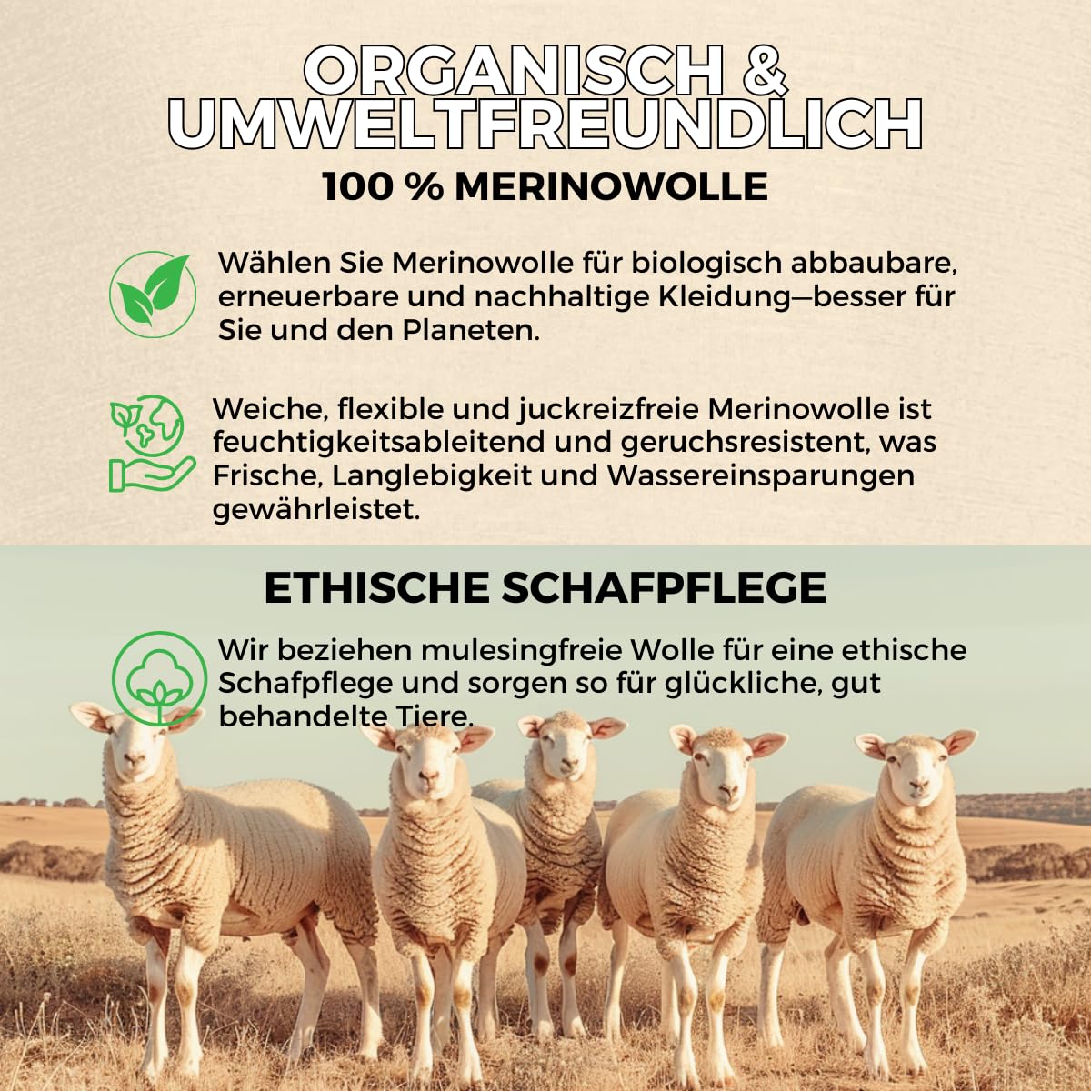 menique 100% Merino Wolle Herren Langarmshirt – Slim Fit Thermounterwäsche Baselayer Longsleeve Shirt für Wandern, Ski & Outdoor, Atmungsaktiv und Geruchsresistent