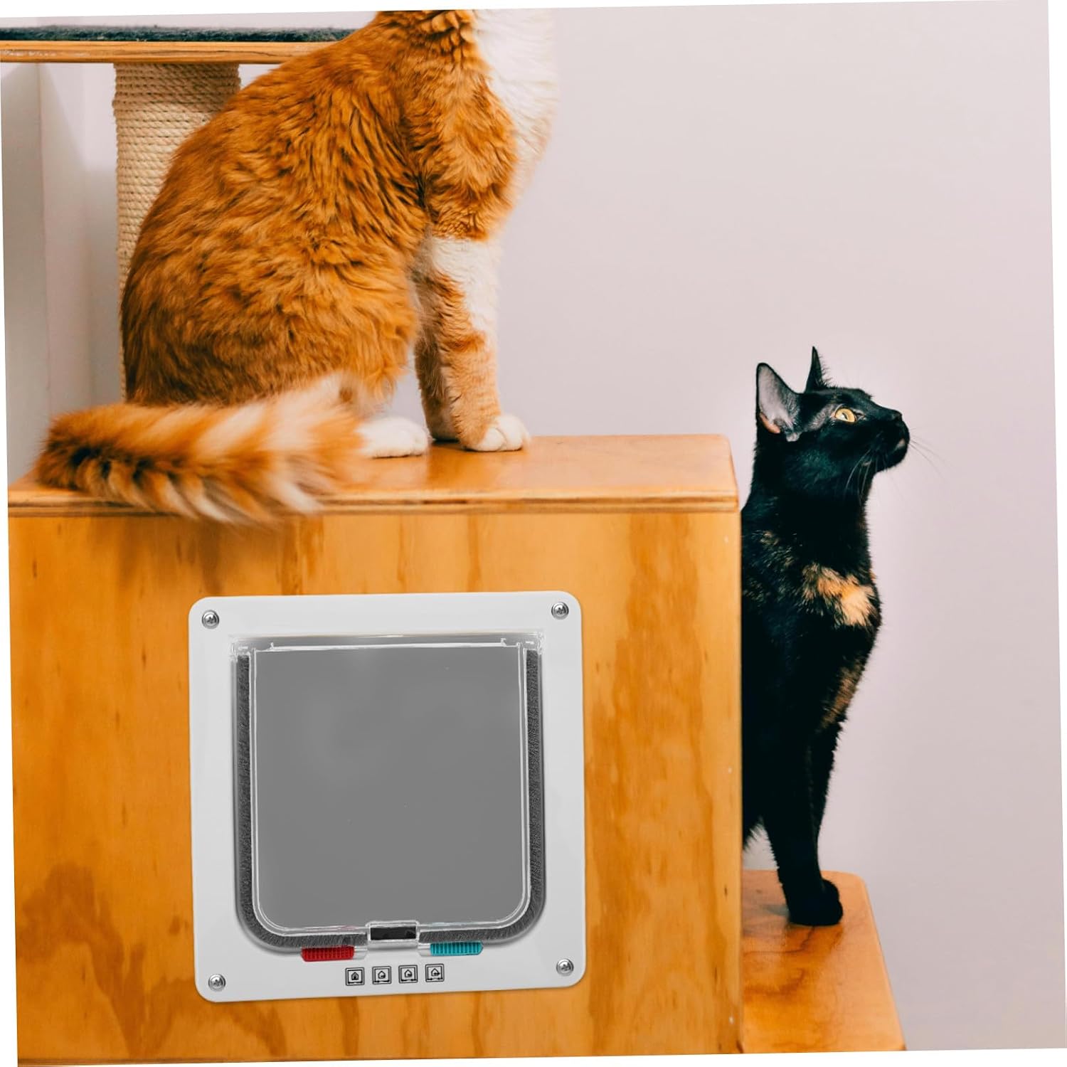 Pet Door Cat Flap Small White 20x19x2cm Indoor Cat Door Controlled Entry and Exit and Small Dogs