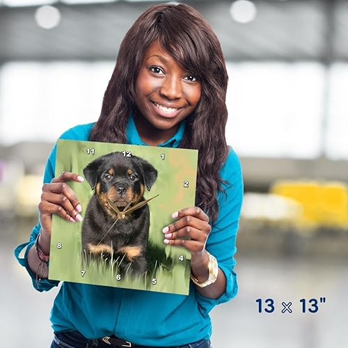 Miniatura 5 de 3dRose DPP_4372_2 Rottweiler Puppy Reloj de pared, 13 x 13 pulgadas