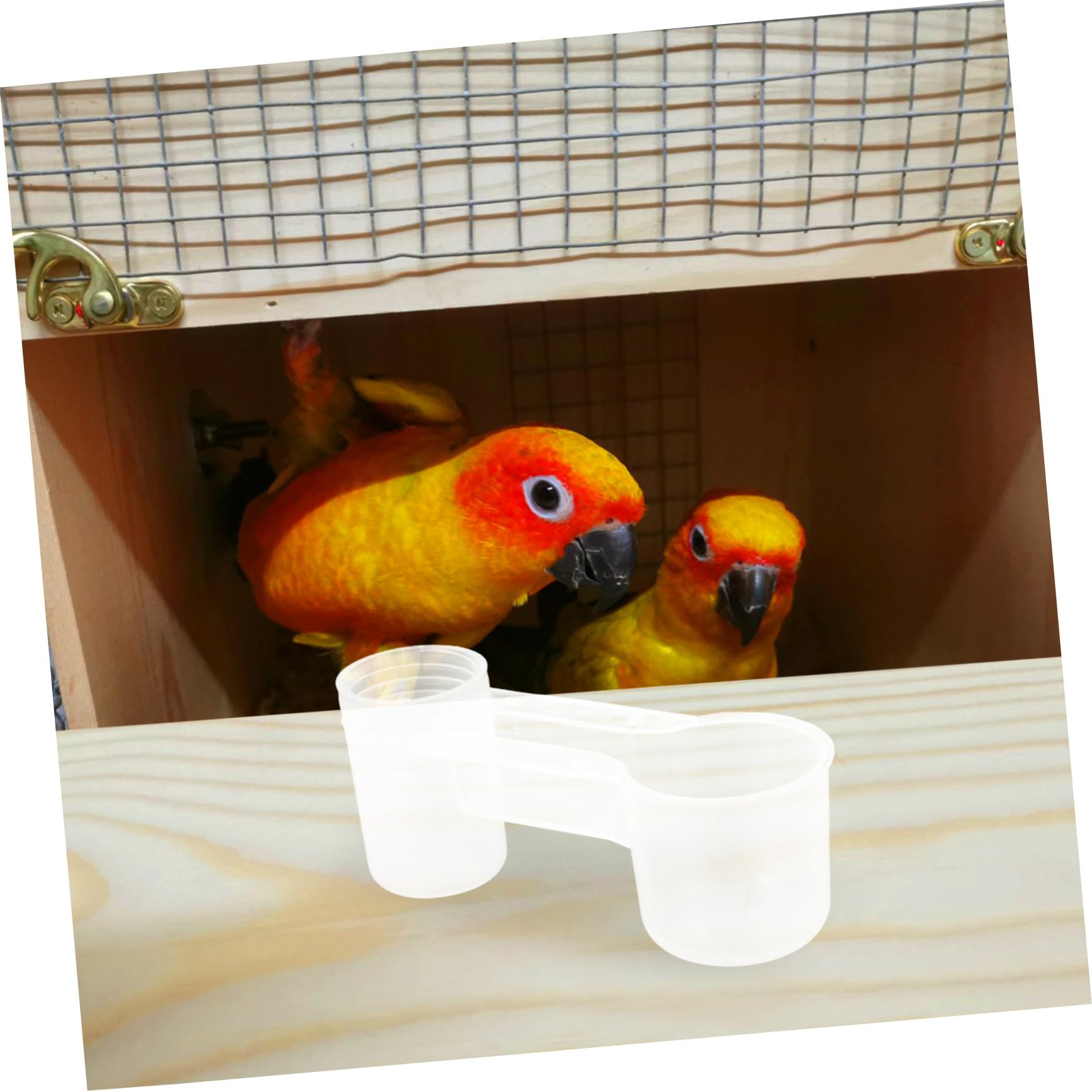 INOOMP Set 10 Pezzi Abbeveratoio per Uccelli Doppia Porta in Plastica Bianca, Autodrinker Facile da Pulire per Pappagalli e Piccioni a Casa o Zoo