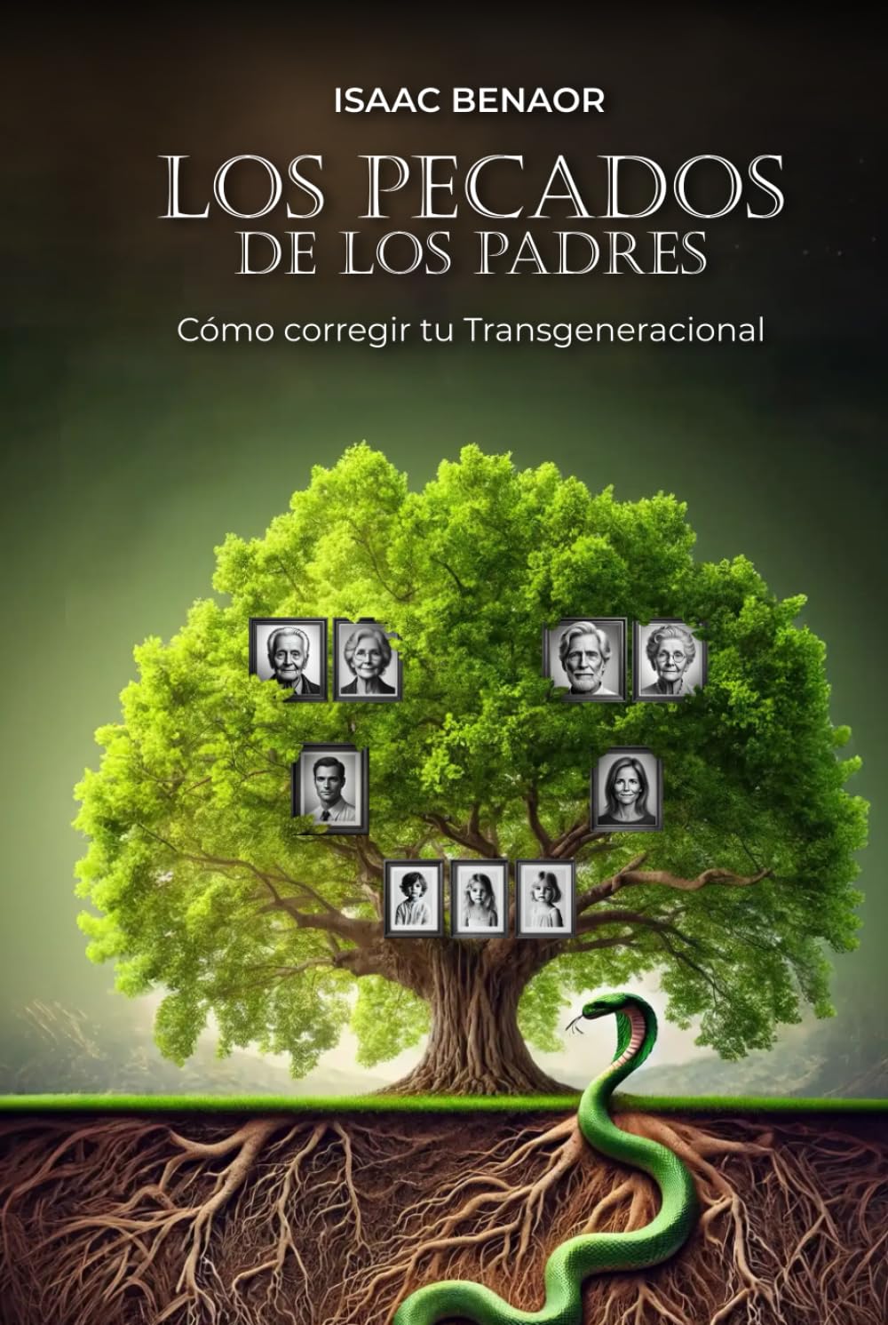 Los Pecados de los Padres: Cómo corregir tu transgeneracional (Spanish Edition)