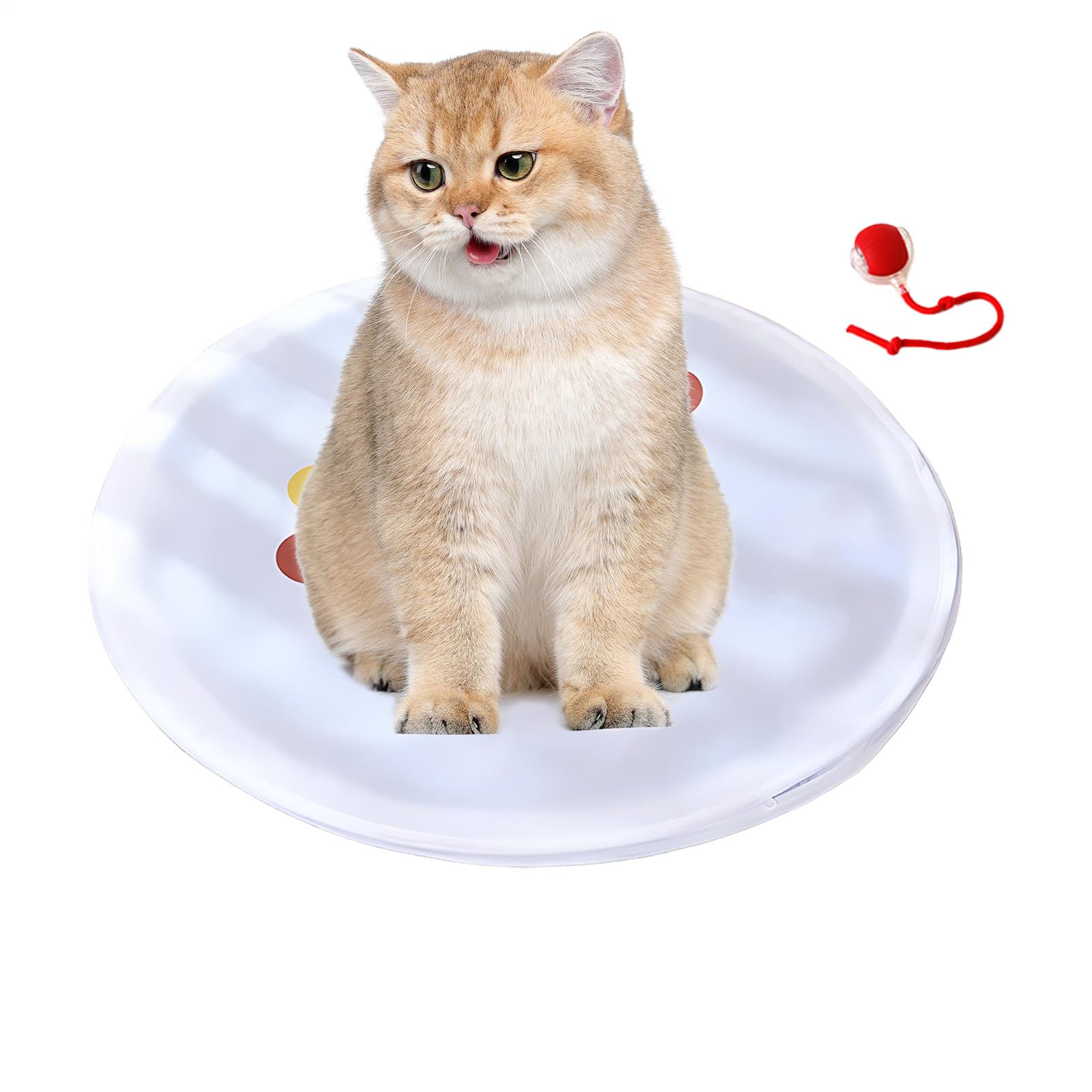Evita el aburrimiento con esta bola interactiva para gatos con alfombra de caza