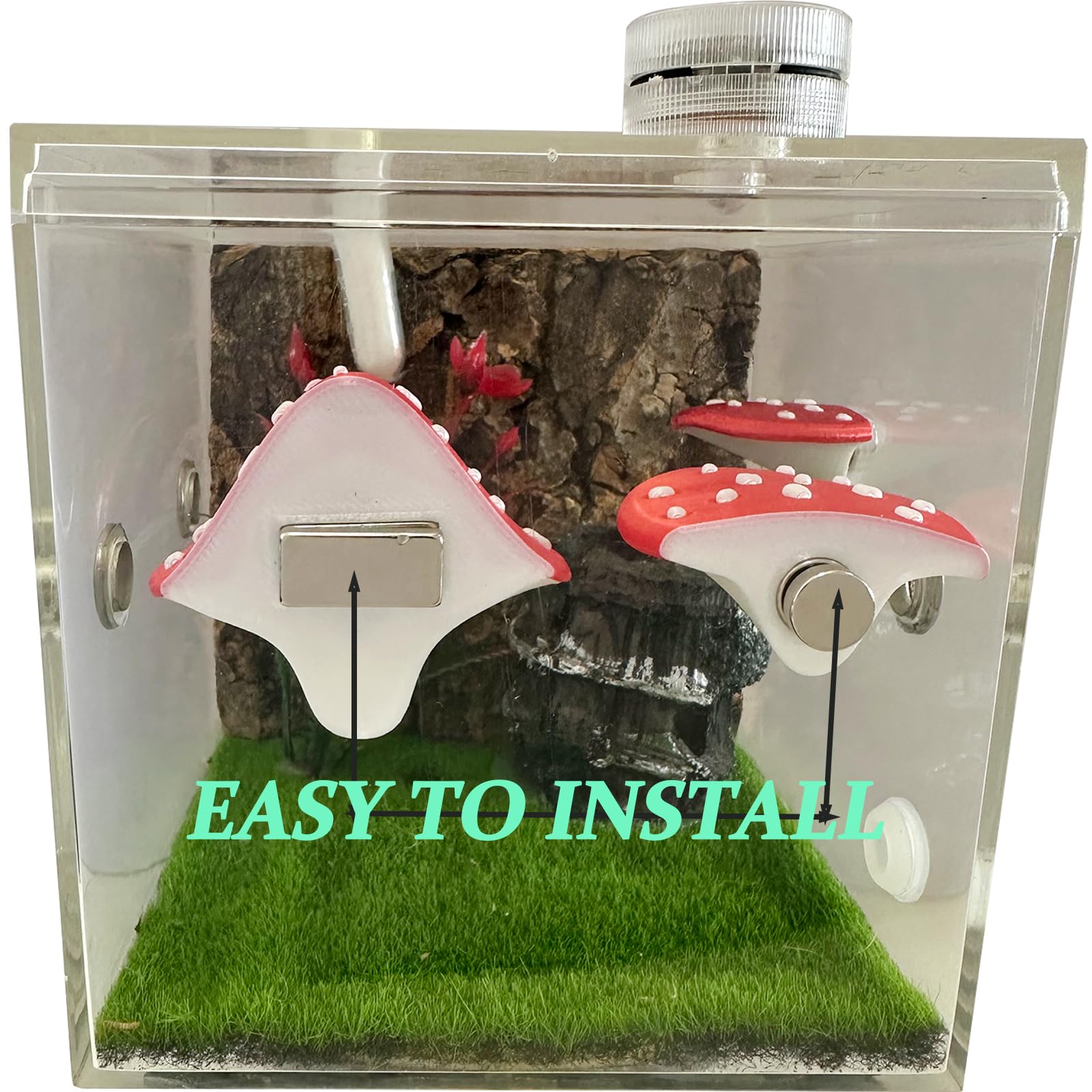 Okueejur Jumping Spider Accessories Kit, 6 Pcs Set including Mushroom Platforms, Magnetic Feeder Dish - Image 4
