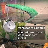Ver la foto 3