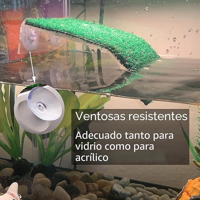 Foto 3 de 8 de Ntcpefy Plataforma para Tomar el para Tortugas CéSped Plataforma para Tomar el para Descansar para Tortugas