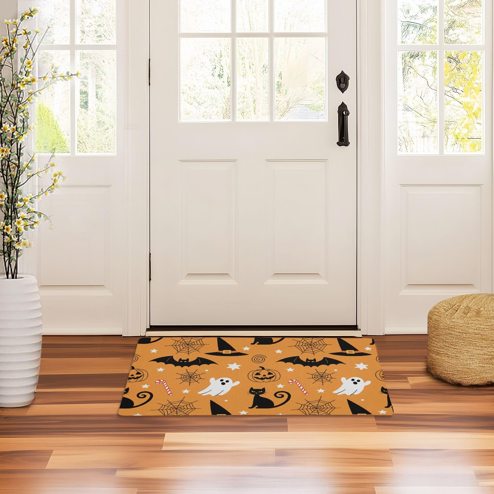 Tapis d'entrée 81x50cm avec envers en caoutchouc antidérapant durable