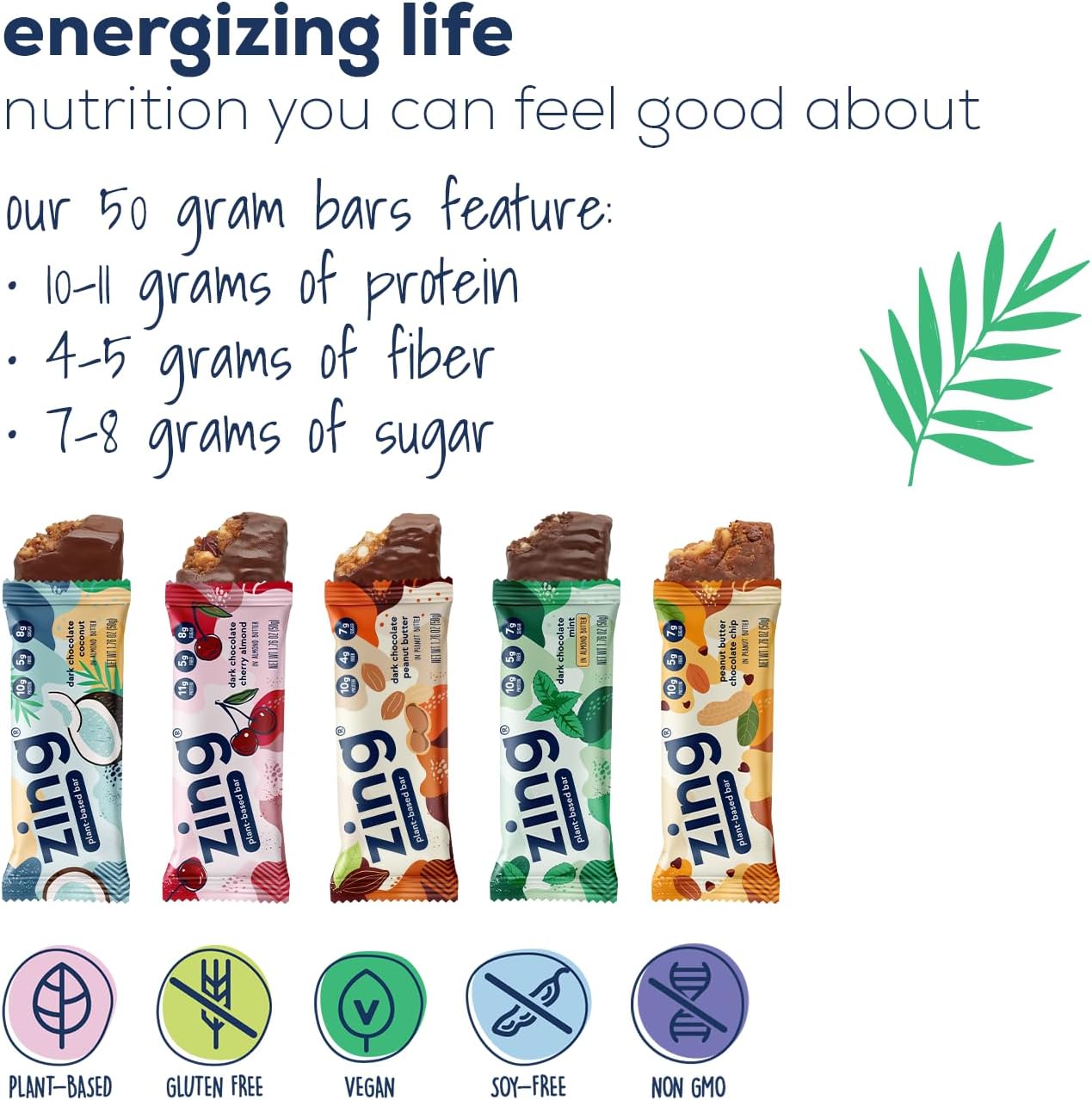 Zing Vegan Protein Bars Variety Pack - Top 5 Flavors, Gluten Free Nutrition Bars, High Protein & Fiber, Soy Free, Dairy Free Plant Based Protein, Kosher, Low Sugar, No Sugar Alcohols - 12 count