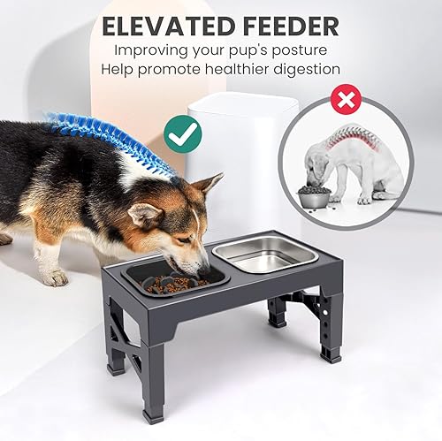 Miniatura 10 de Niubya Cuencos elevados para perros con 2 cuencos de comida de acero inoxidable para perros, cuenco elevado para perros que se ajusta a 5 alturas
