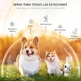 Ver la foto 8