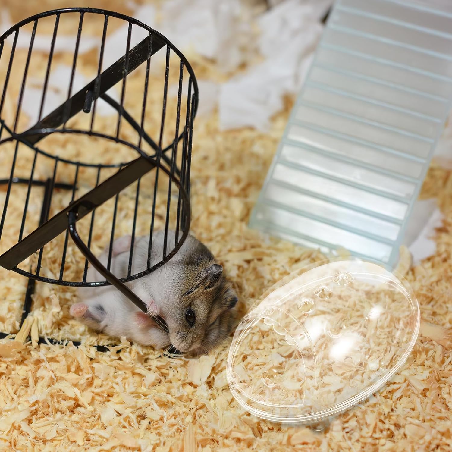Hamster Sand Bath Box with Sturdy Abs Material and Detachable Design Small Pet Litter Box for Hamster Cage Accessories and Small Animal Toilet