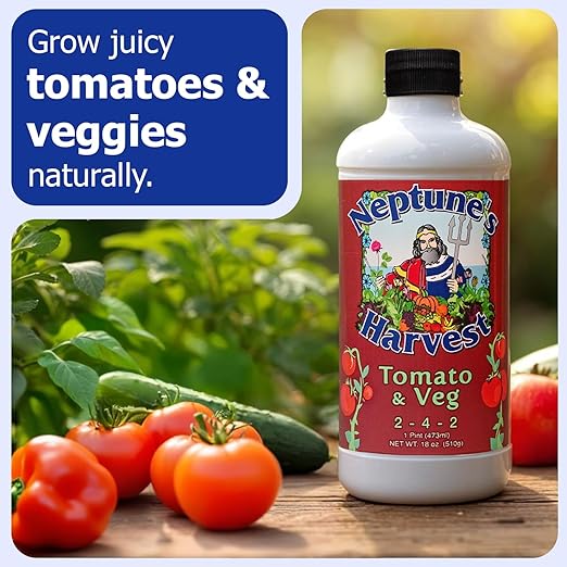 Neptune's Harvest Fertilizante Orgánico Líquido para Tomate y Vegetales (2-4-2) - 144 oz miniatura 2
