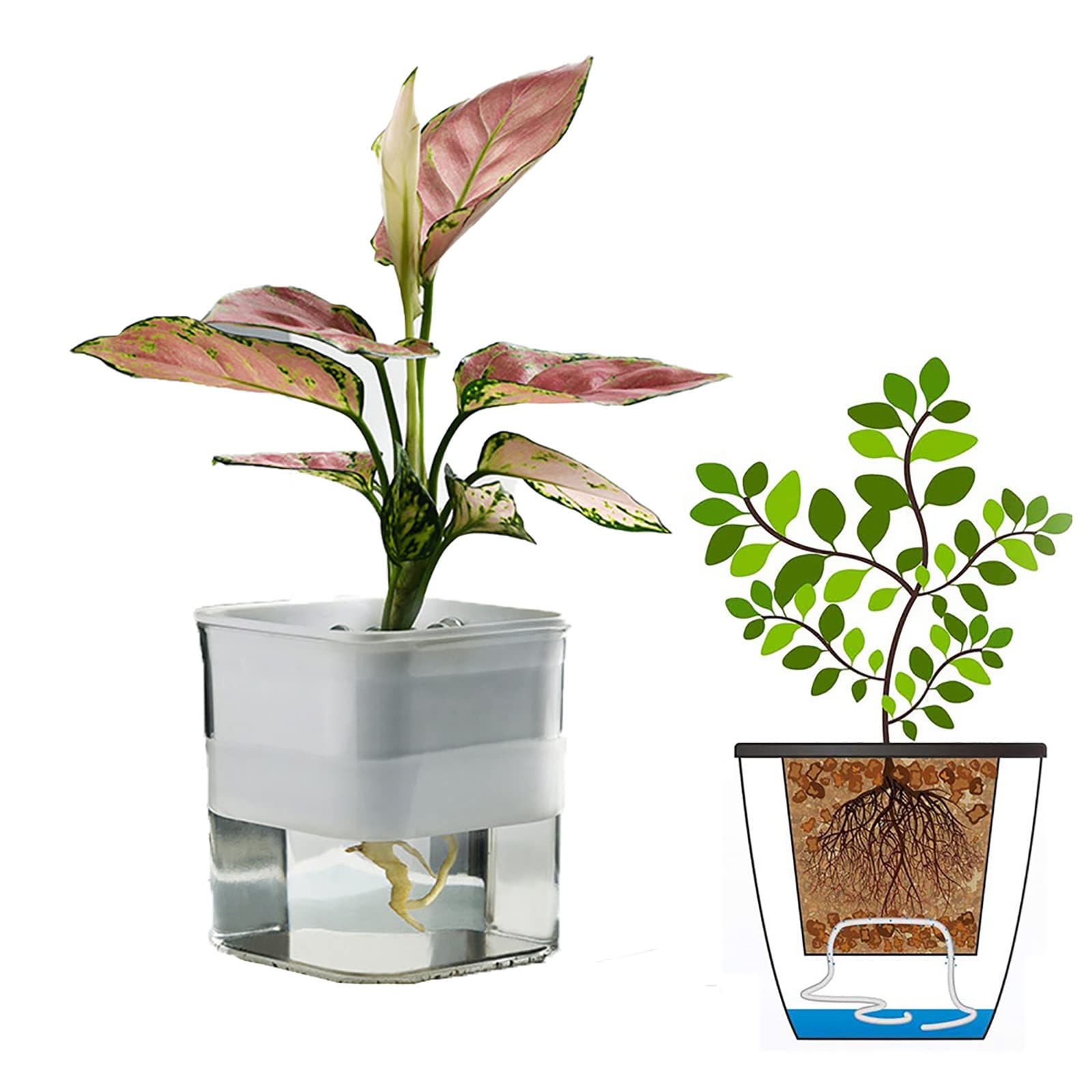 Pot de plante à arrosage automatique autonome Yajun en plastique transparent pour pépinière