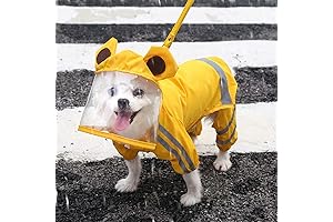 Waterproof Dog Raincoat for Small Dogs
