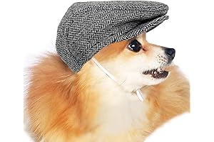 Ivy Cap Newsboy Hat for Blind Dogs: The Ultimate Halloween Costume Accessory