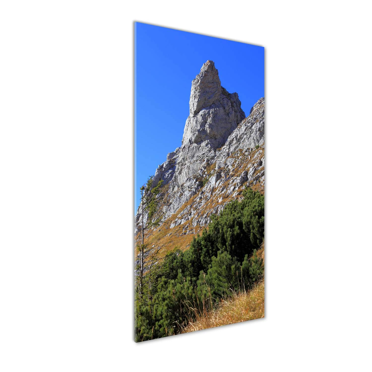 Tableaux pour la mur en verre acrylique Tulup - Finition haut de gamme paysage 50x125