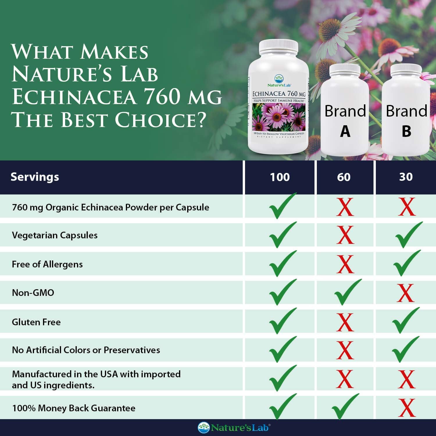 Nature's Lab Echinacea 760mg Dietary Supplement - Powerful All Natural Immune System Support - Non-GMO, Gluten Free - 100 Capsules (50 Day Supply) : Health & Household