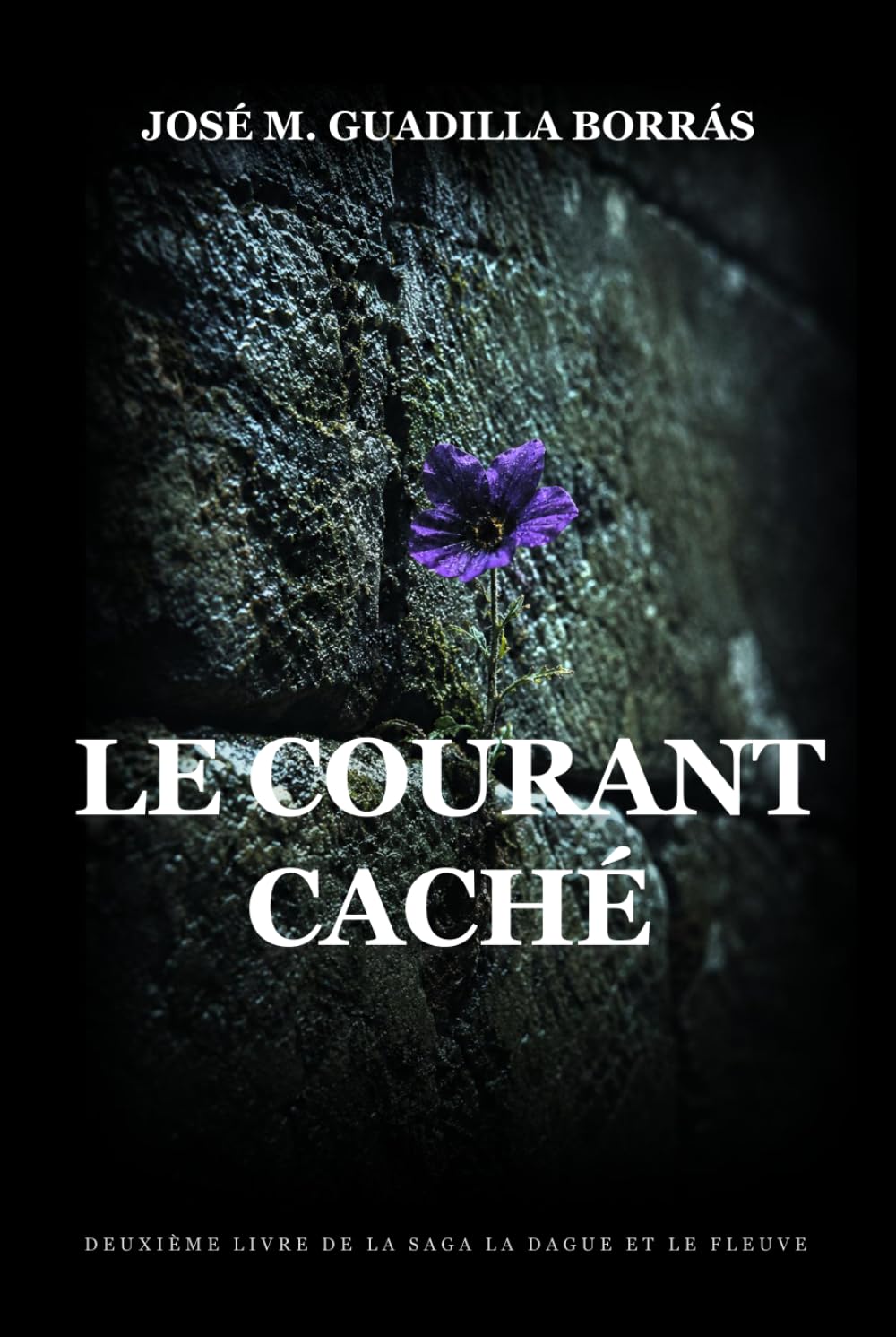 Le Courant caché: Un roman historique épique (La Dague et le Fleuve)