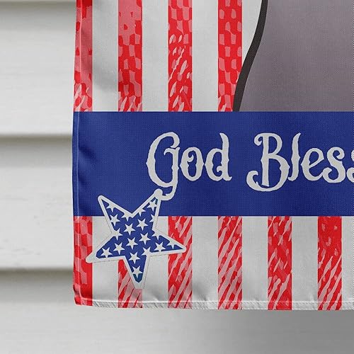 Vista 29 de Caroline's Treasures BB2171GF American Flag and Border Collie Garden Flag Mailbox Flag Decorative Yard Flag Banner Outside Patio Artwork Yard Flower