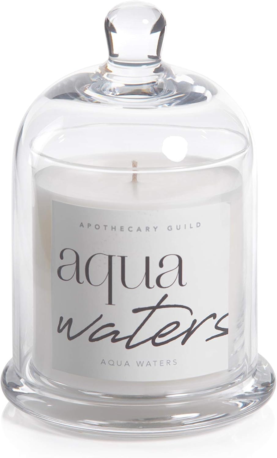 Zodax Aqua Waters Apothecary Guild 10 Ounce Scented Jar Candle with Dome