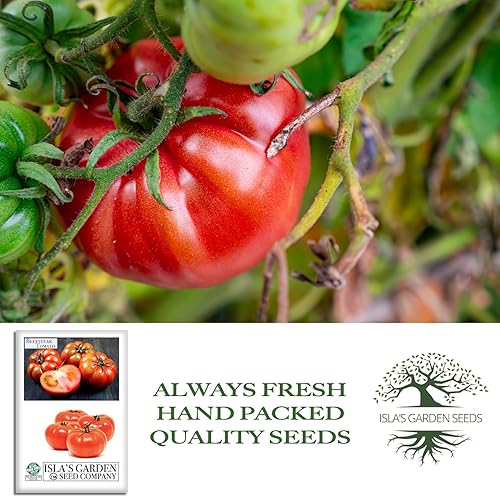 Miniatura 4 de Semillas de tomate Beefsteak (Solanum lycopersicum) – Más de 300 semillas sin OMG y reliquias, tomates grandes y jugosos para rebanar, perfectas