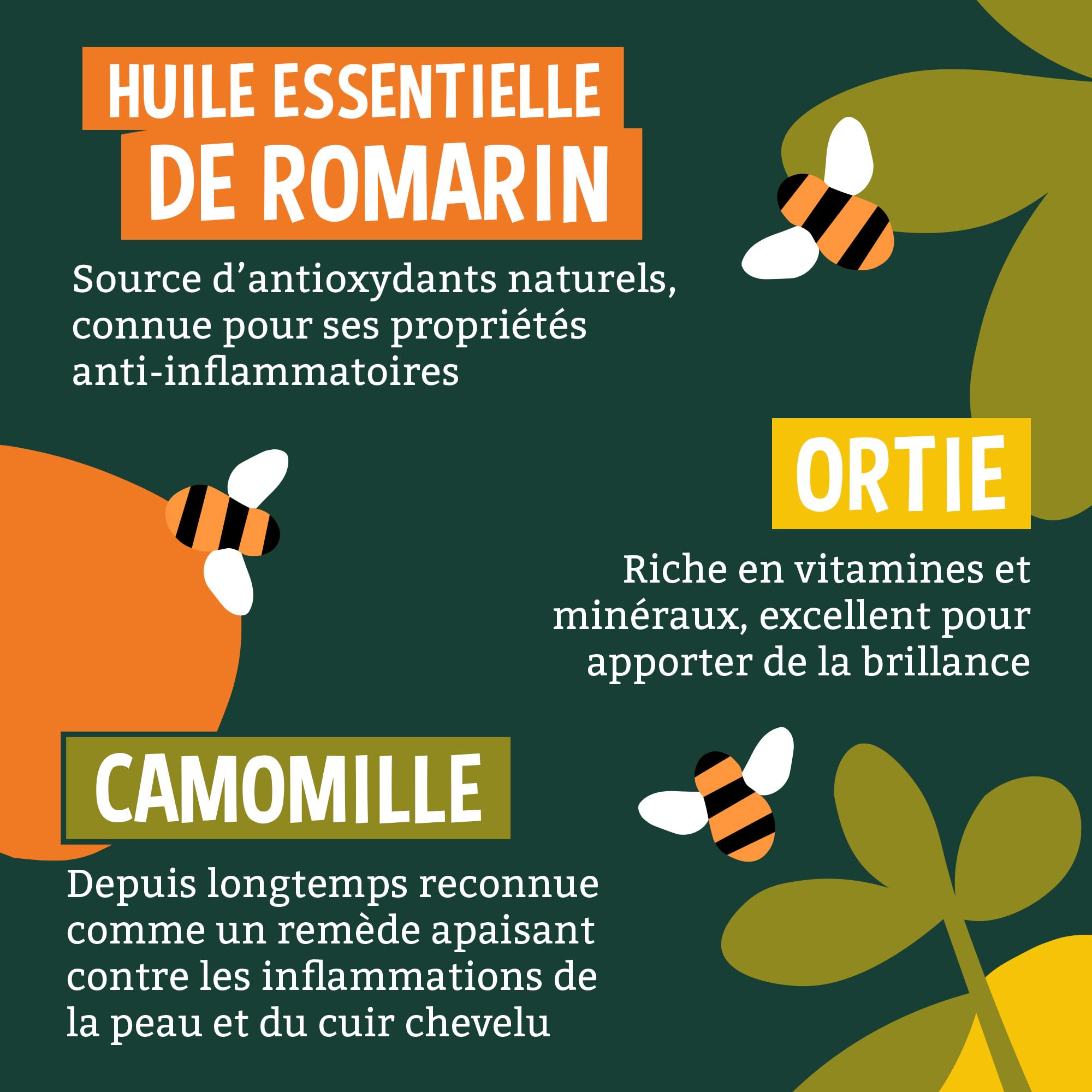 Faith In Nature Après-Shampooing Naturel au Pamplemousse et à l’Orange, Purifiant pour Cheveux et Cuir Chevelu Gras, Végan et Non Testé sur les Animaux, Sans SLS, Silicones ni Parabènes, Recharge 5 L
